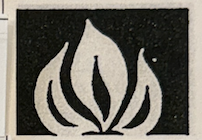 term image