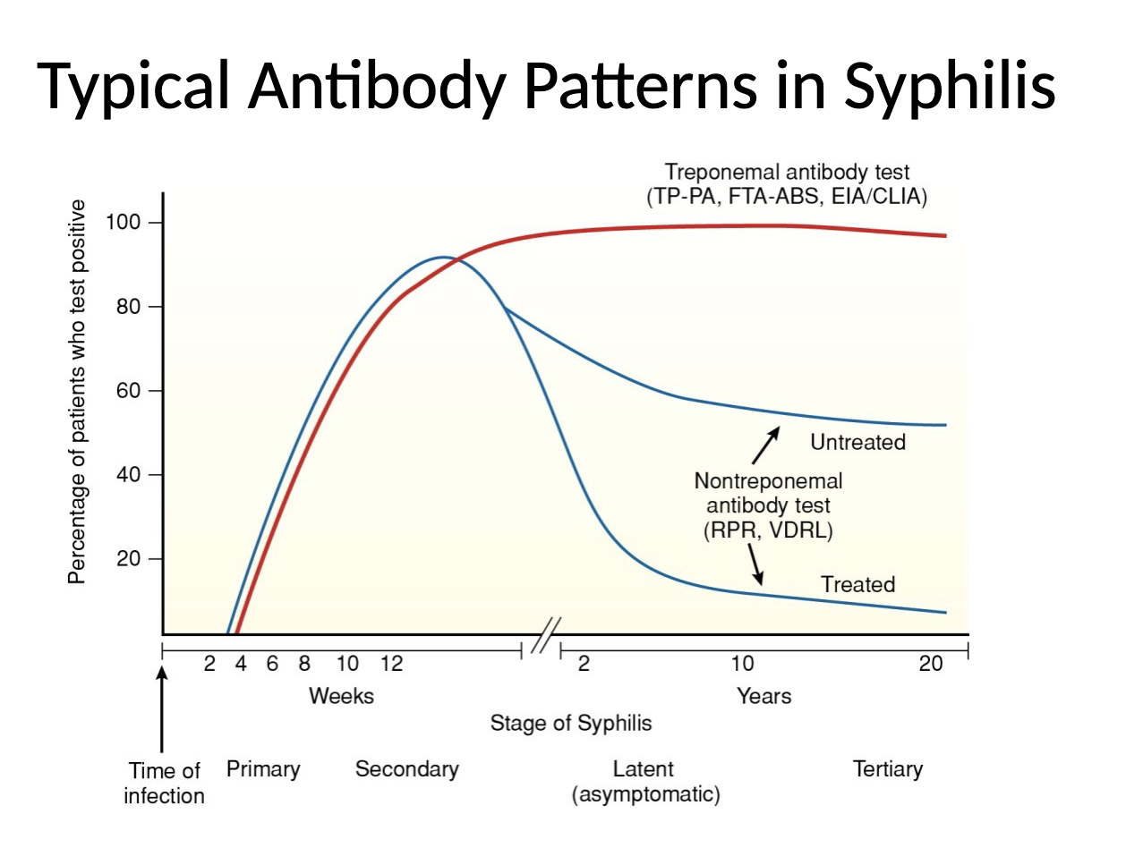 <ul><li><p>detect antibody to <em>T. pallidum</em></p></li><li><p>fluorescent treponemal absorption (FTA-ABS)</p></li><li><p>T. pallidum particle agglutination (TP-PA)</p></li><li><p>automated immunoassays</p><ul><li><p>ELISA</p></li><li><p>CLIA</p></li><li><p>MFI </p></li></ul></li></ul><p></p>