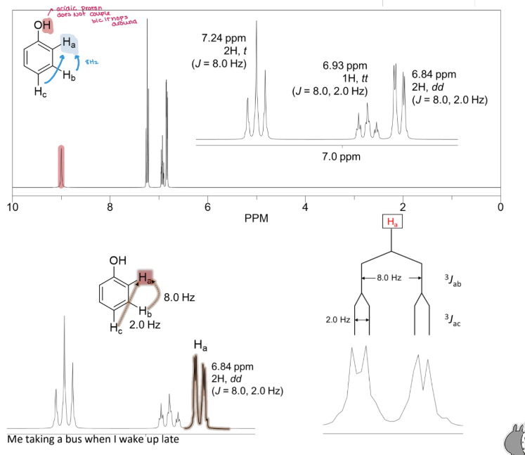 <ul><li><p><span style="color: red;"><strong>Acidic protons</strong></span> do not ____ because it <strong>hops around </strong></p></li></ul><p></p>