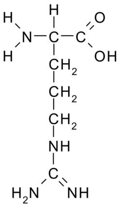 <ul><li><p>Electrically charged side chains</p></li><li><p>Hydrophilic</p></li><li><p>Basic (positively charged)</p></li></ul><p></p>