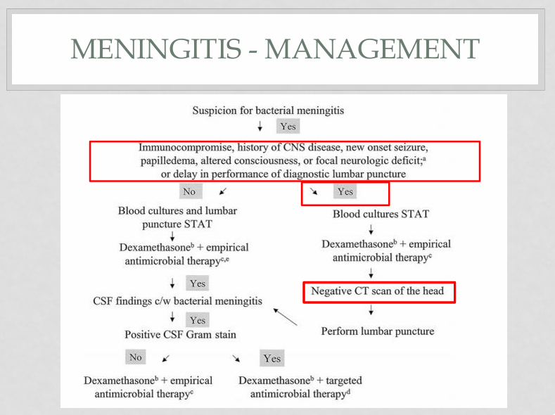 <p>if any of the risk factors… if not then blood cultures + LP ASAP</p><p></p>