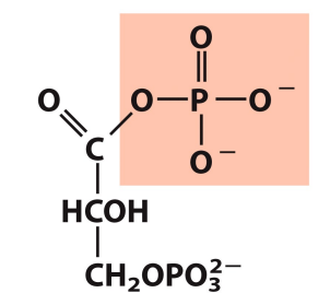 <p>What is this structure?</p>