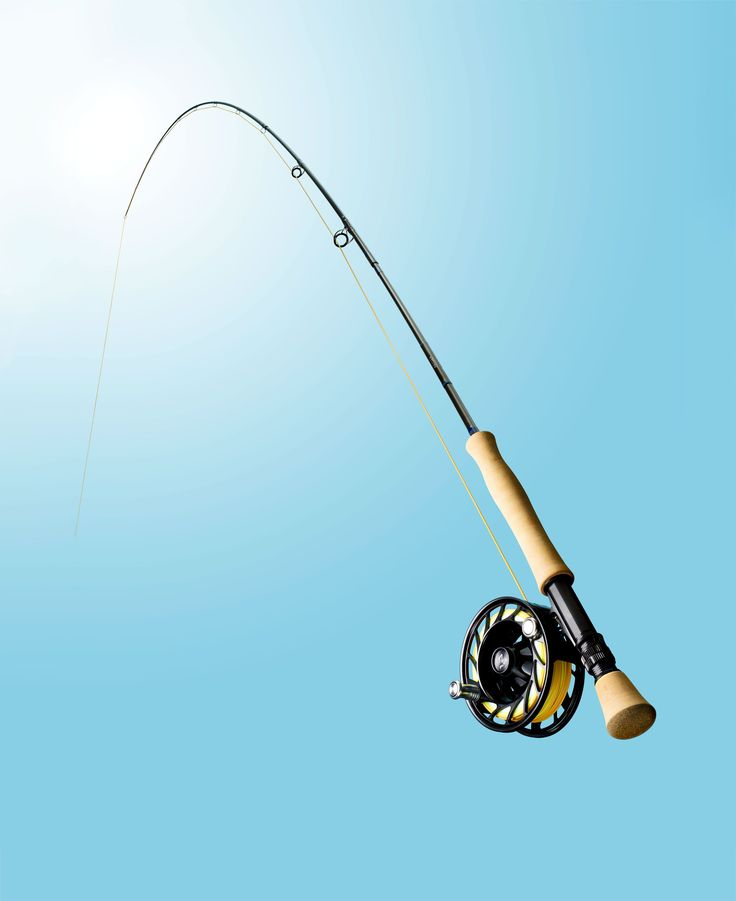<p>a long thin stick, often used with a line for fishing. He cast his ___ into the river.</p>