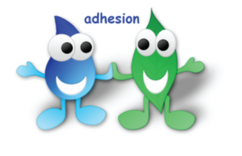 <p><span style="background-color: transparent;">the attraction between molecules of <strong>different</strong> substances (like water sticking to a leaf)</span></p>