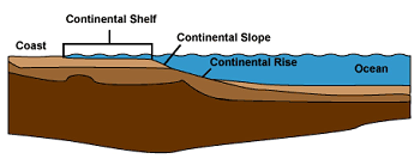 <p>lack nutrients derived from the land or ocean sediments on the seabed.</p>