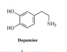 <p>Dopamine</p>
