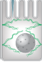 <p>-Cytoskeleton Element</p><p>-Made up of Protein Subunits</p><p>-Holds Organelles in Place</p>