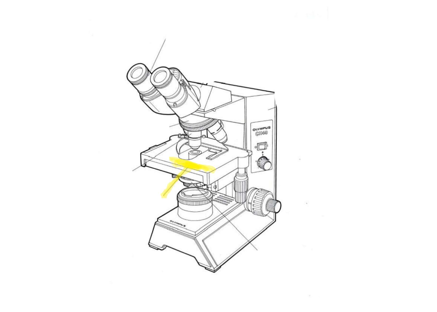 <p>Label the part of the microscope highlighted in yellow</p>