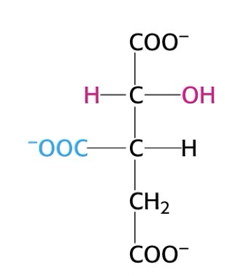 <p>what structure is this?</p>