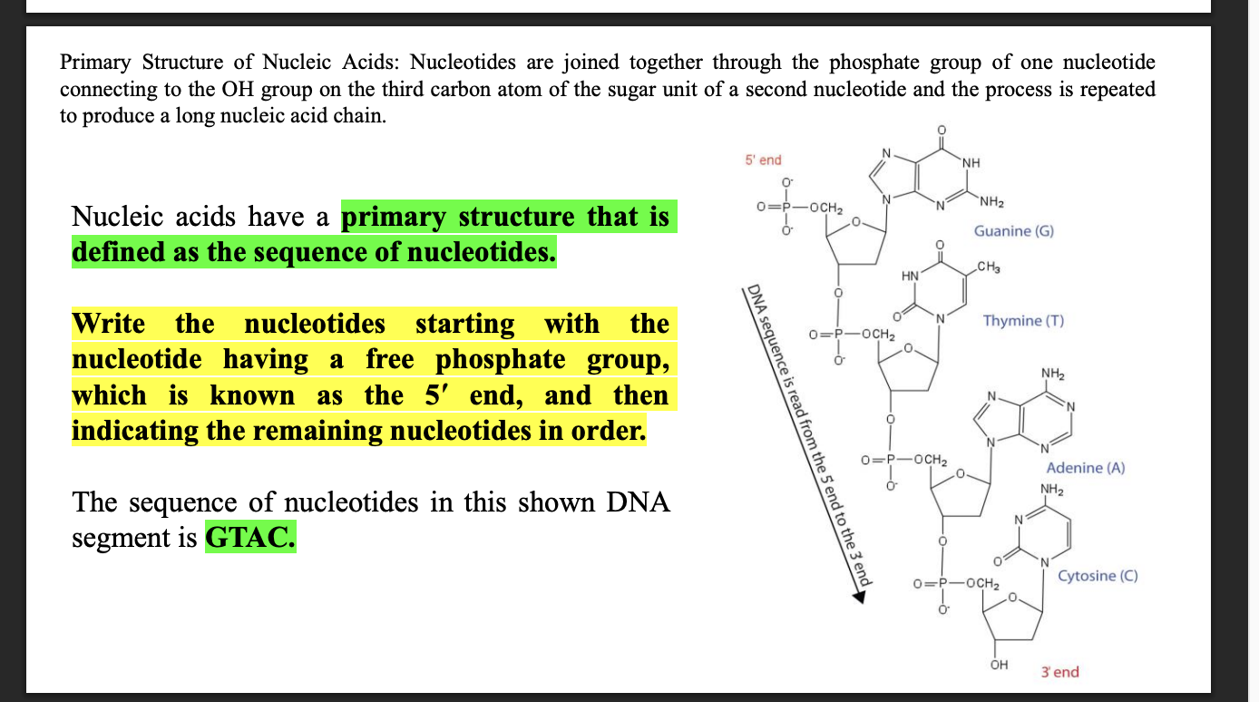<p>It is arranged in a 5’ to 3 ‘ direction </p><p>The phosphate group is at the 5’ carboon this is the beginging on the chain, new nueclotdies join their 5’ to the 3’ OH group </p>