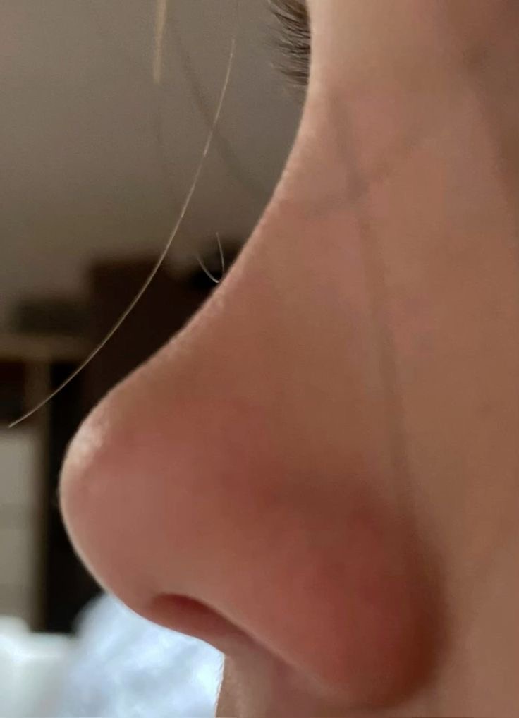 <p>the nose </p>