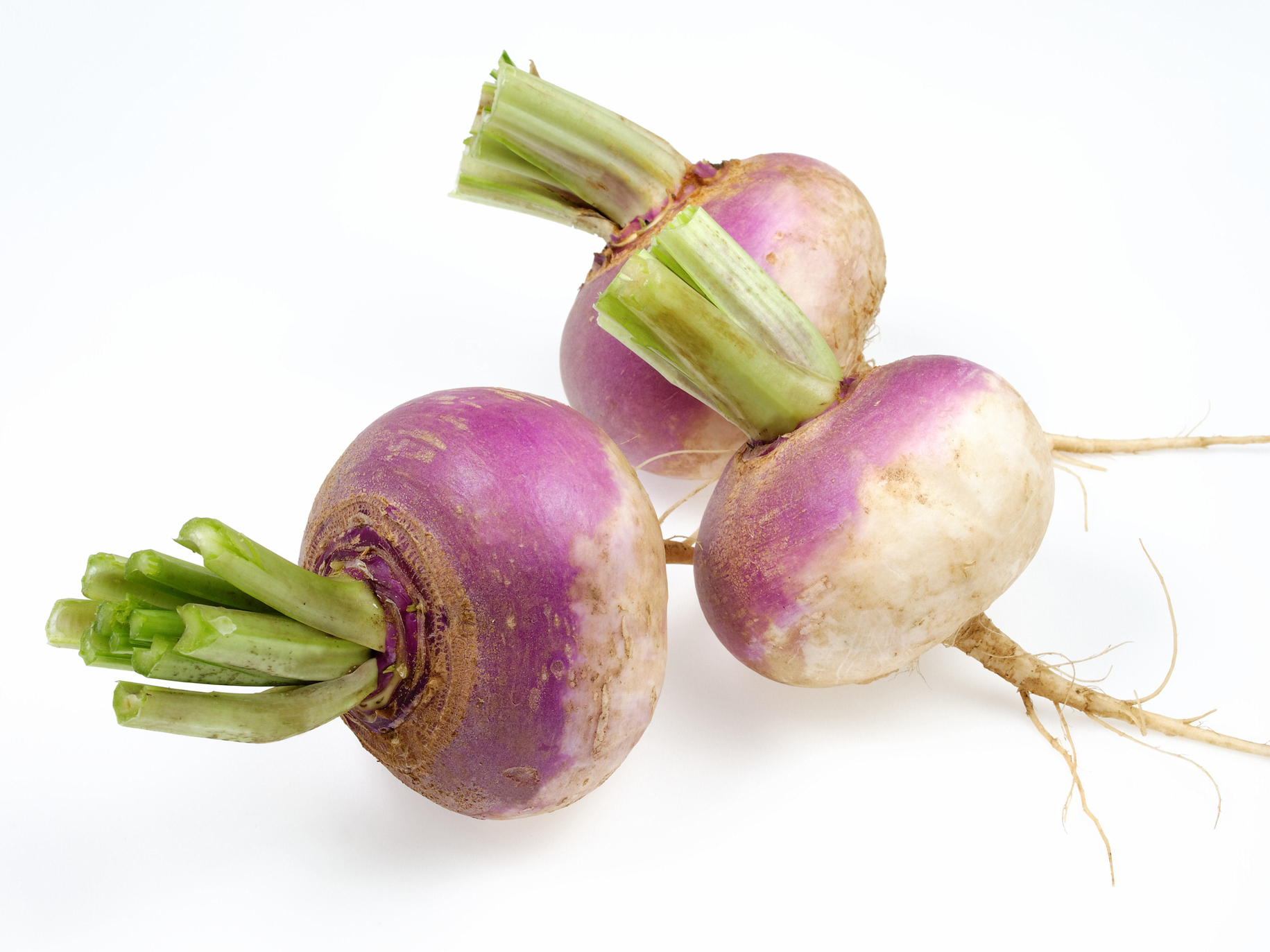 <p>Turnip Roots</p>