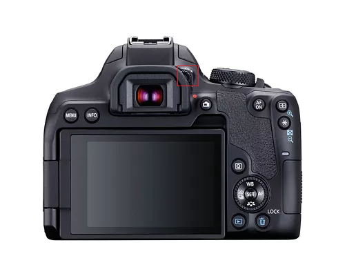 term image