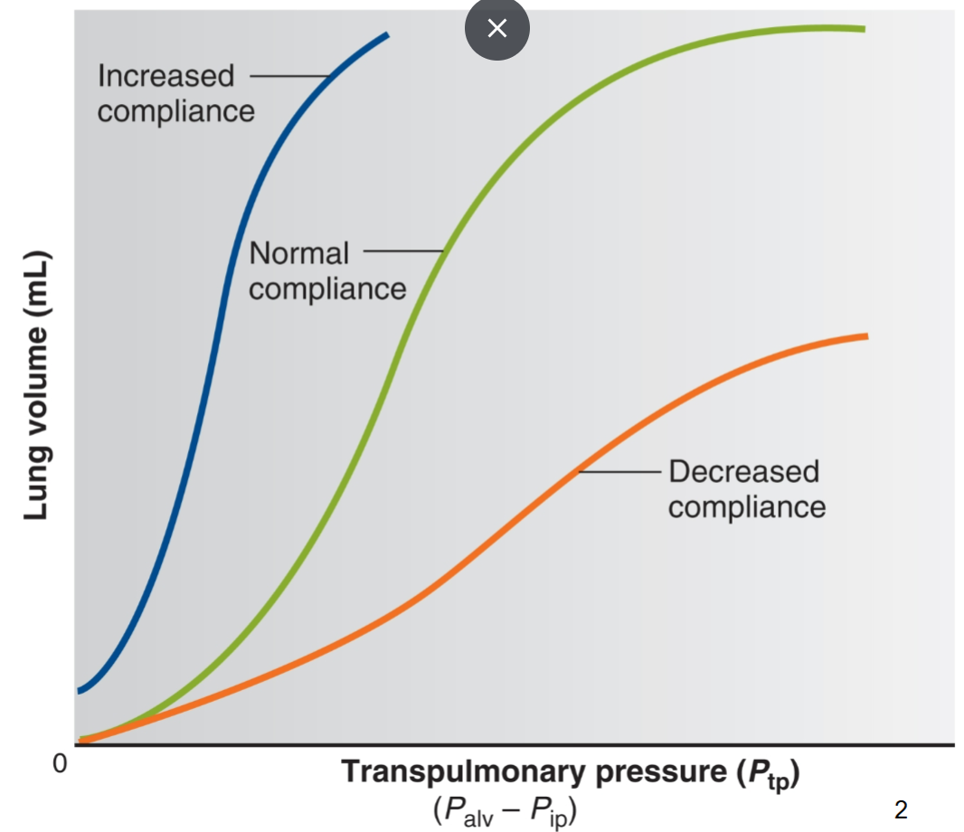 <ul><li><p>decrease compliance means that less air feels lung even at higher Ptp</p></li><li><p>both decreased and increased lung compliance are bad!</p></li></ul><p></p>