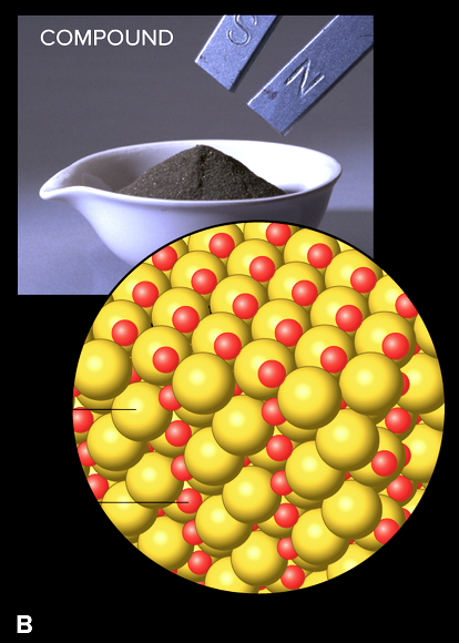 <p>Compound</p>