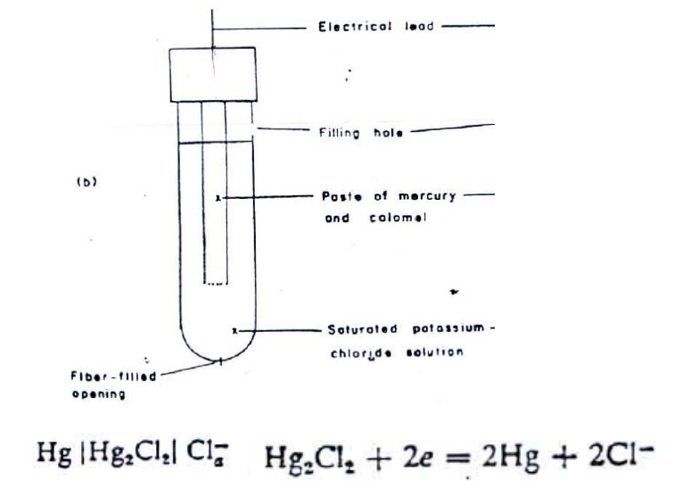 <p>Mercury and calomel are in contact with each other and with chloride ions</p>