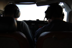 <p>copilot</p>