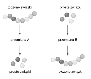 <p>GRUPA B</p><p>2. Na schematach przedstawiono dwa kierunki przemian metabolicznych.</p><p>a) Określ, która przemiana (A czy B) przedstawia przemianę anaboliczną. Odpowiedź uzasadnij jednym argumentem.</p><p>b) Określ, która z przemian (A czy B) nie wymaga dostarczenia energii.</p>