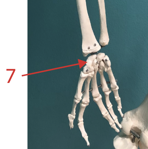 <p>What is #7?</p>