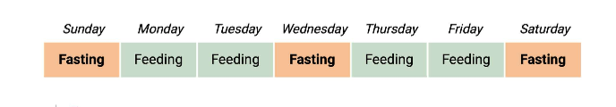 <p>half of mice followed a 1:2 IF protocol, which consists of 24 hr of food starvation and then 48 hr free access to food. mice in control group had unrestricted access to food (ad libitum)</p>