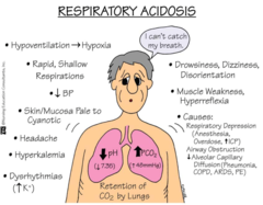 <p>￭Appear as regulatory systems fail to maintain pH within normal range</p><p>￭Include headache, blurred vision, tremors, muscle twitching, vertigo, irritability, disorientation, lethargy, coma, tachycardia leading to bradycardia, blood pressure fluctuations, diaphoresis</p>