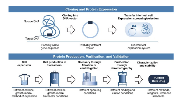 <p><span>For large scale production of <strong>target proteins</strong>, they need to be synthesized in cells grown in large bioreactors.&nbsp; </span></p><ul><li><p><span>Cells are required because protein synthesis requires ribosomes.&nbsp; </span></p></li><li><p><span>A major challenge is to purify the target protein from all the other proteins, etc in the cells.&nbsp; This is less of a problem for proteins that can be secreted into the culture media.&nbsp; </span></p></li><li><p><span>Also, if the protein needs post-translational modifications the host cell has to be appropriate for that.&nbsp; This entire process can take weeks to months.&nbsp; Thus, the process has to be optimized for each target protein.</span></p></li></ul><p></p>