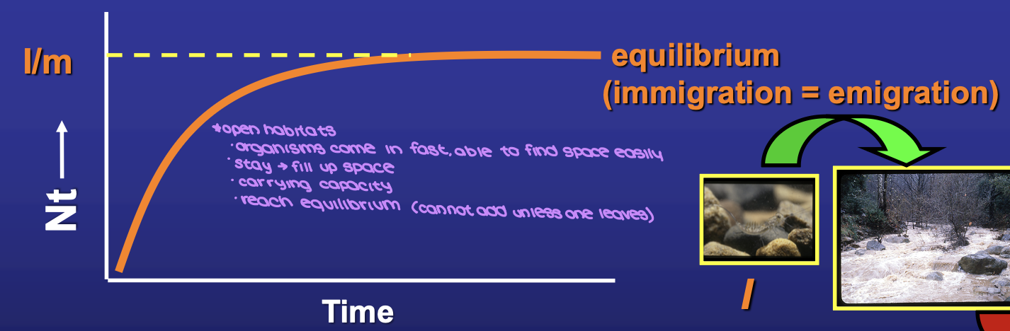 <p><strong>I = mN</strong></p><p>organisms come into the space <strong>fast</strong> and <strong>stay</strong></p>