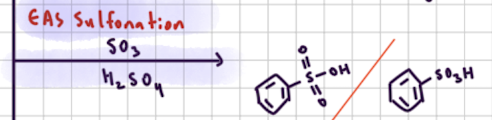 <p>EAS Sulfonation </p>