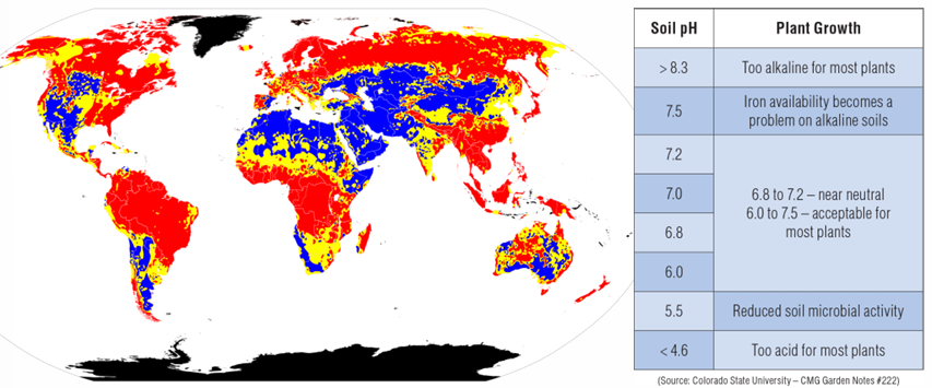 <p>warm, humid → ↑ acidic soils </p><ul><li><p>diff plants tolerate diff pH soils</p></li></ul><p></p>
