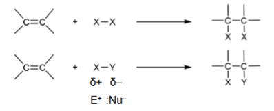 <p>2Xs added across pi bond or X &amp; Y are added arcoss pi bonds</p>