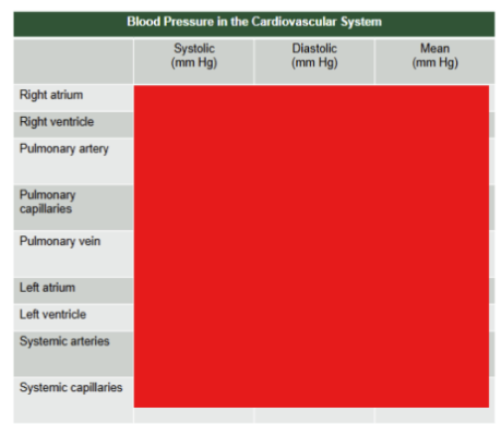 <p>Fill out the chart</p>