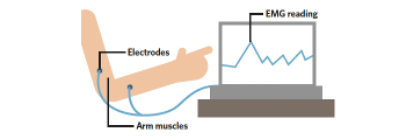 <p><span style="font-family: Aptos, sans-serif;">Detects, amplifies and records electrical activity in muscles of the body.&nbsp;Electrodes attached to skin above muscles.&nbsp;Muscle movement can be used to identify different stages/types of sleep through how active a person's muscles are.&nbsp;</span></p>