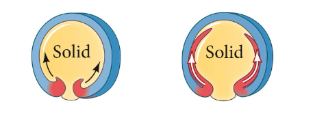 <p>sheet of cells rolls inward, spreading over the internal surface of the outer cell layer to form an underlayer</p>
