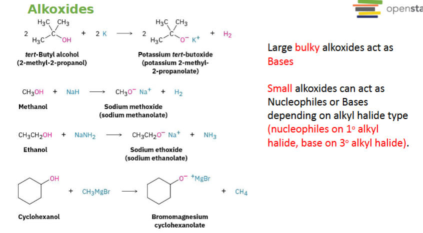 <p>Alkoxides can act as either:</p><p>1. A Base: Removes H⁺ from another molecule.</p><p>or</p><p>2. A Nucleophile: Attacks a carbon atom.</p><p>depends mostly on <strong>how bulky the alkoxide is</strong> and the type of alkyl halide it's reacting with.</p><p><strong><u>Small alkoxides: </u></strong>Can do either SN2 or E2.</p><p><strong><u>Large alkoxides:</u></strong>It is <strong>too bulky</strong> to easily attack carbon. Instead it removes a hydrogen. So it usually acts as a <strong>base (E2).</strong></p>
