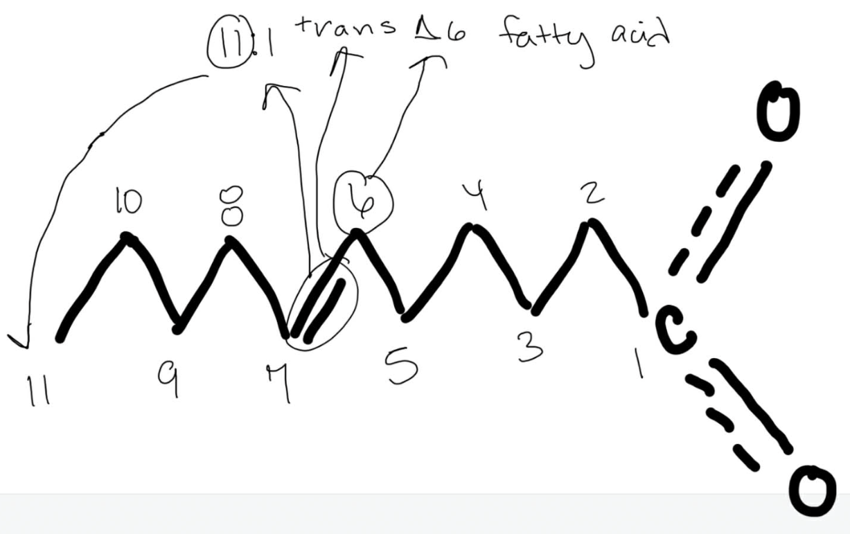 <p>11:1 trans delta 6 fatty acid</p>