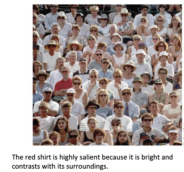 <p>when something stands out visually and attracts attention</p><p>examples:</p><ul><li><p>bright colour</p></li><li><p>high contrast</p></li><li><p>movement</p></li></ul><p></p>