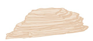 <p>Identify the structure</p>