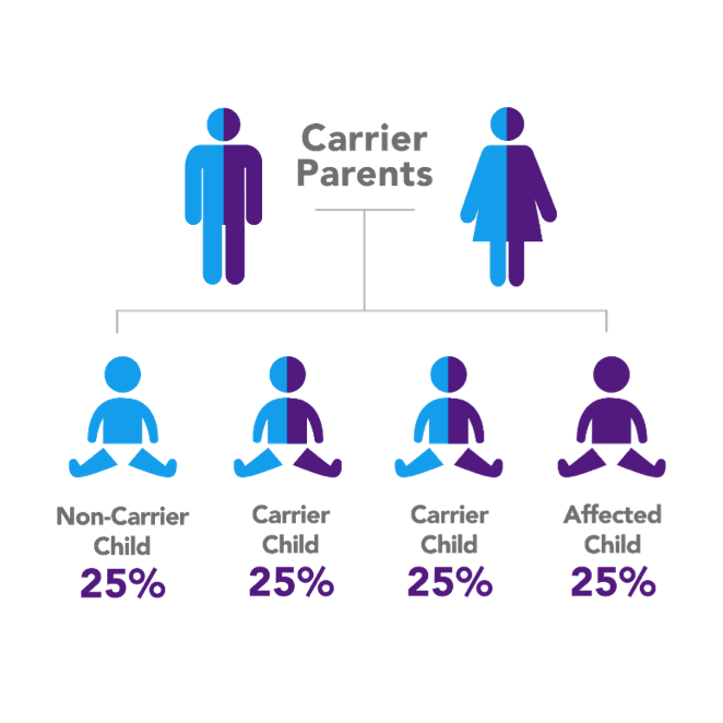 <p>25% chance the child will have cystic fibrosis.</p>