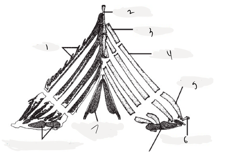 <p>5</p>