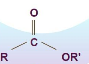 <p>Acid + Alcohol</p>