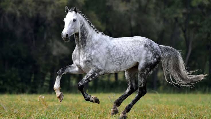 <p>What color is this?</p>