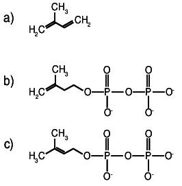 <p>name structure B and C</p>