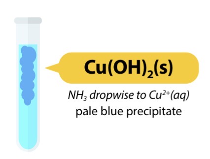 <ul><li><p>Cu2+ (aq) + 2OH- (aq) → Cu(OH)2 (s)</p></li><li><p>Pale blue solution → pale blue ppt</p></li><li><p>Insoluble in excess NaOH</p></li></ul><p></p>