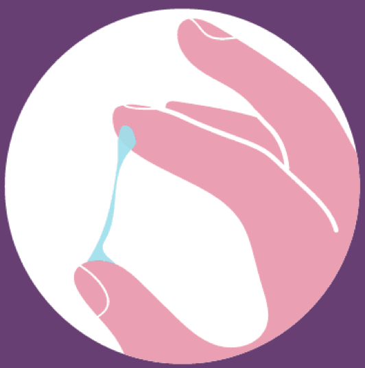 <p>very wet, stretchy, and resembles a raw egg white </p>