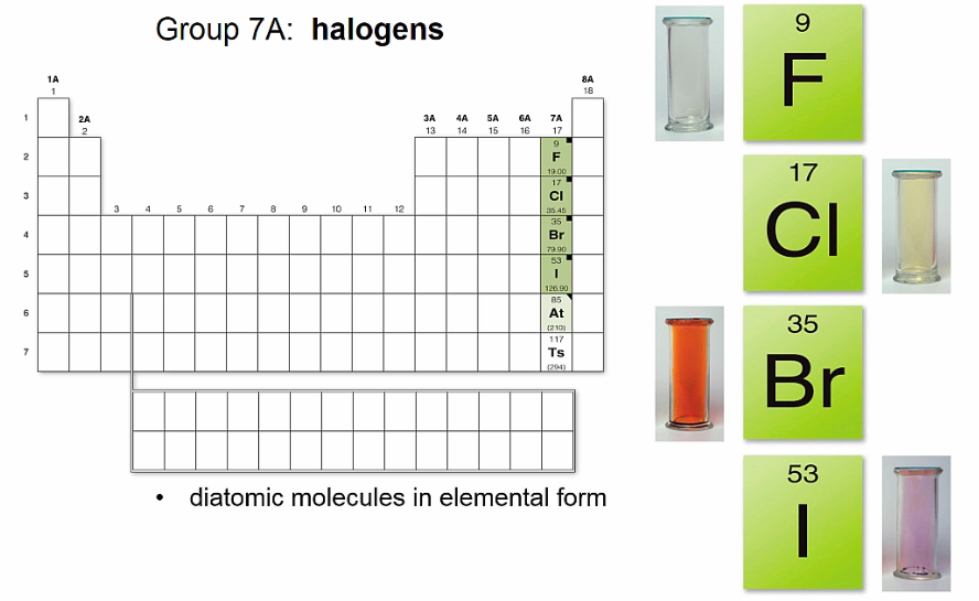 <p>Halogens</p>