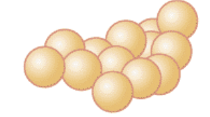 <p>staphylococcus</p>