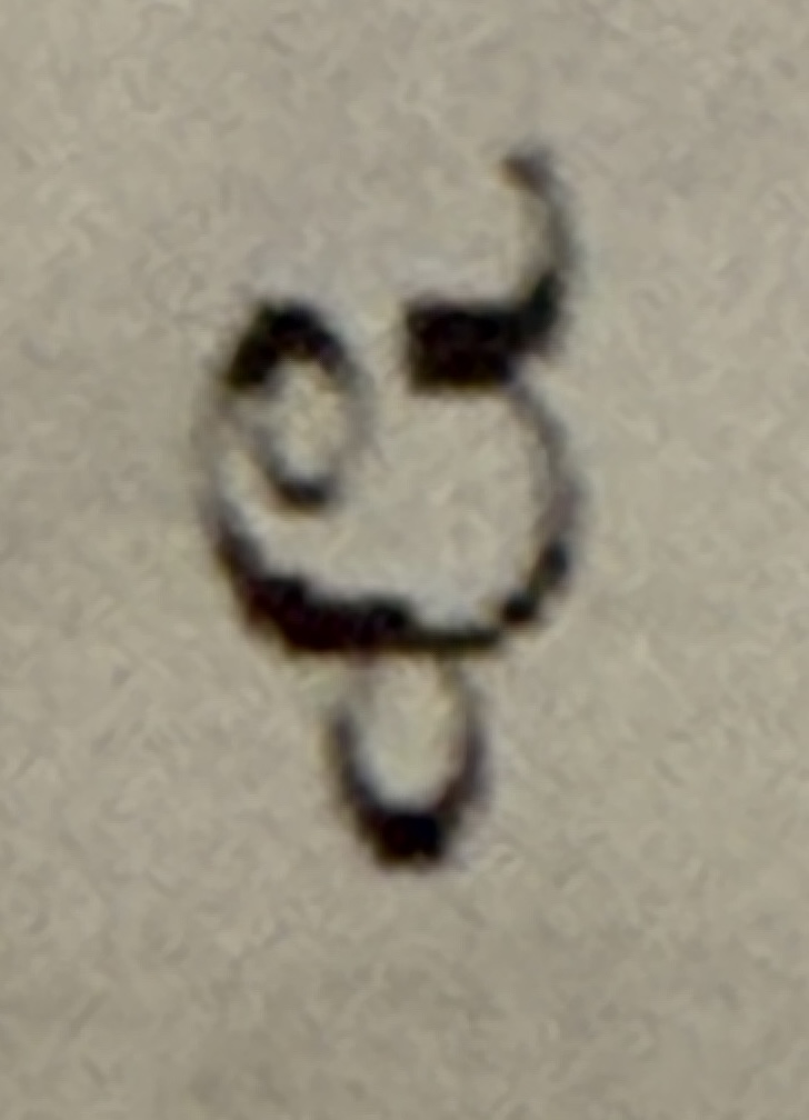 term image