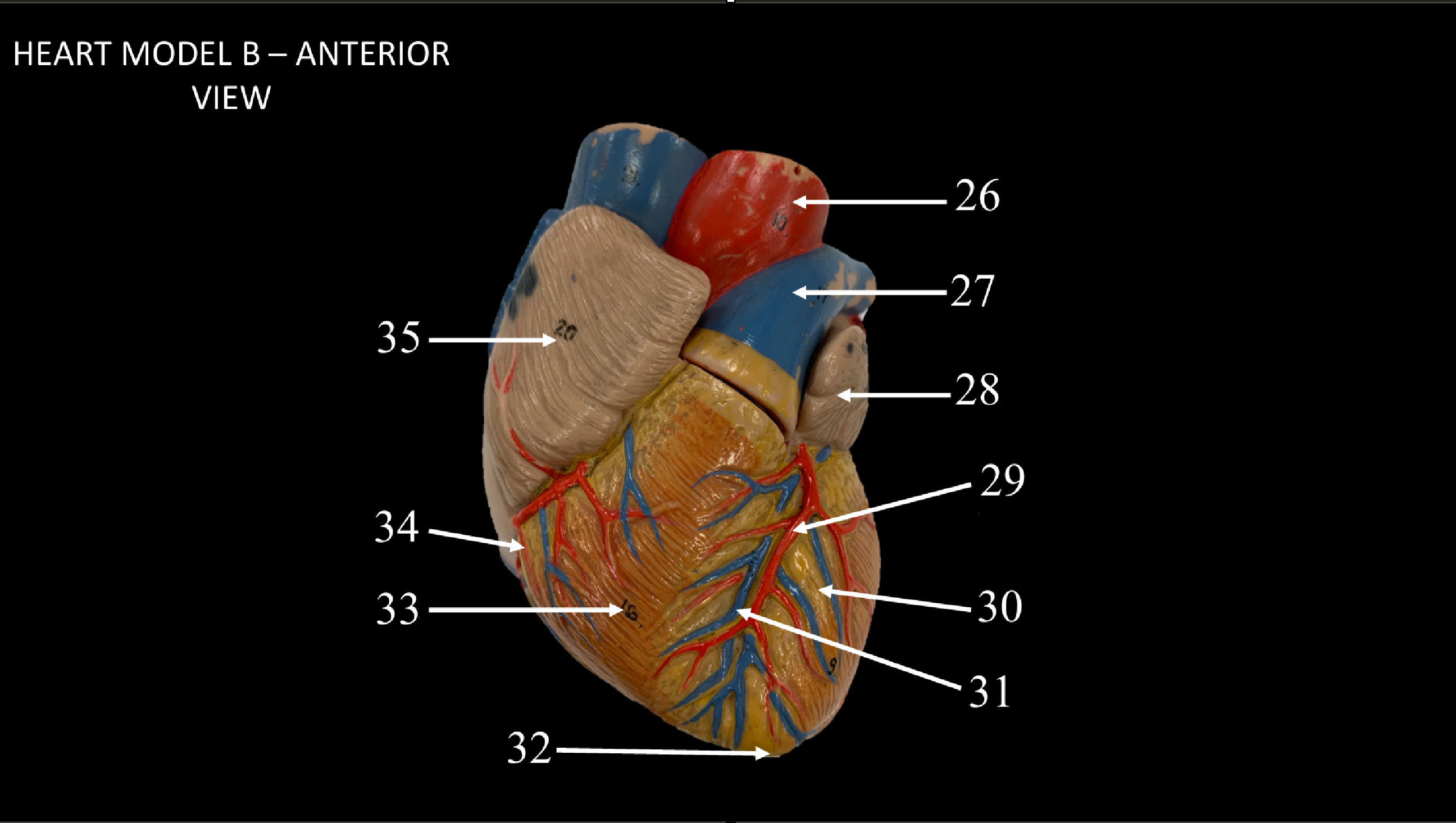<p>WHAT IS 27 CALLED?</p>