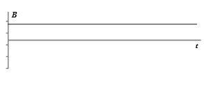 <p><span style="font-family: "Times New Roman";"><strong><em>magnetinis laukas, kurio didumas ir kryptis nesikeičia laikui bėgant</em></strong></span></p>
