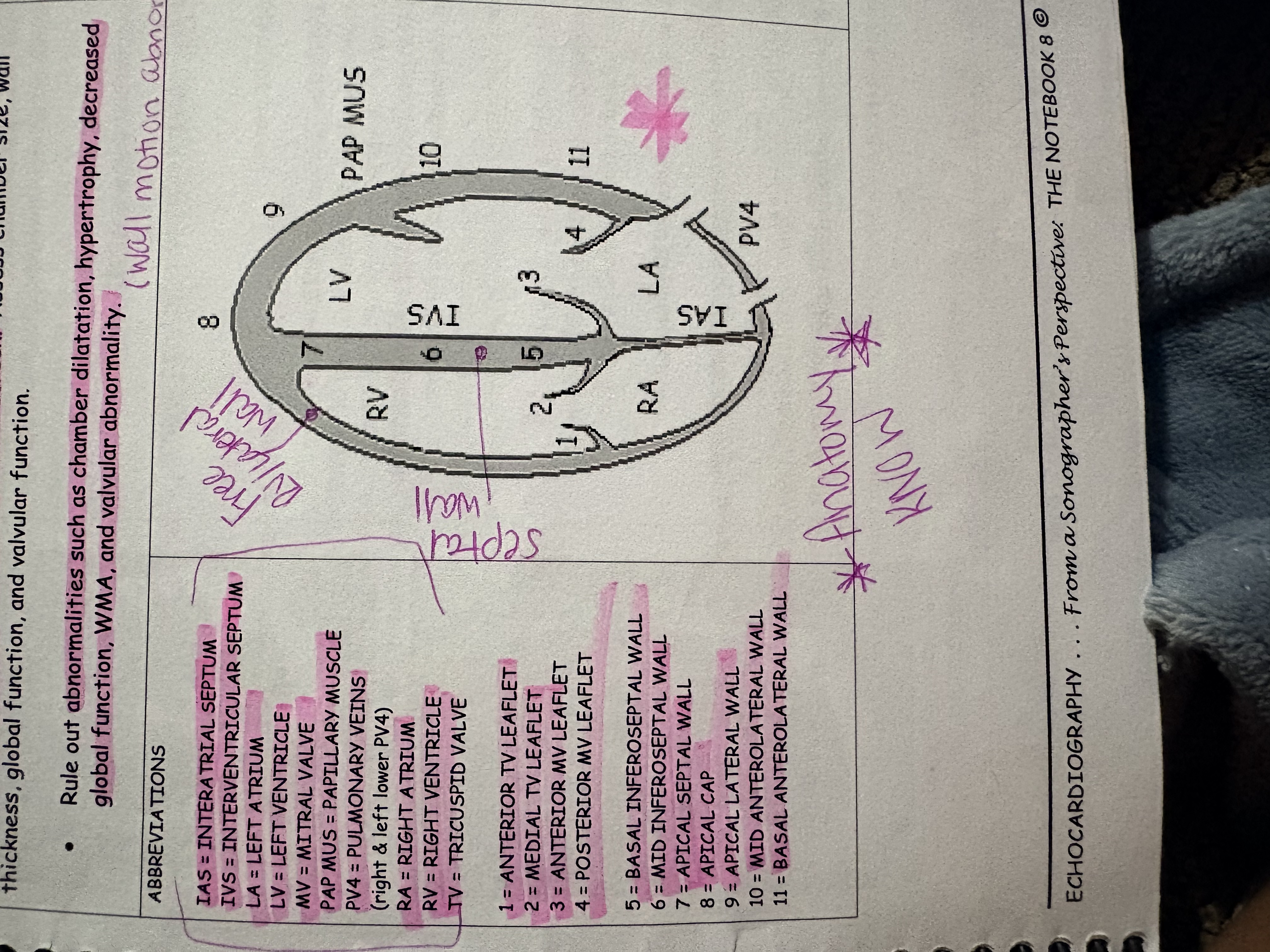 knowt flashcard image